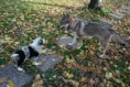 /album/a9-tyzdnov/img-4178-jpg/