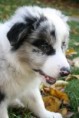 /album/a9-tyzdnov/img-4215-jpg/