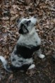 /album/a12-tyzdnov/img-4652-jpg/